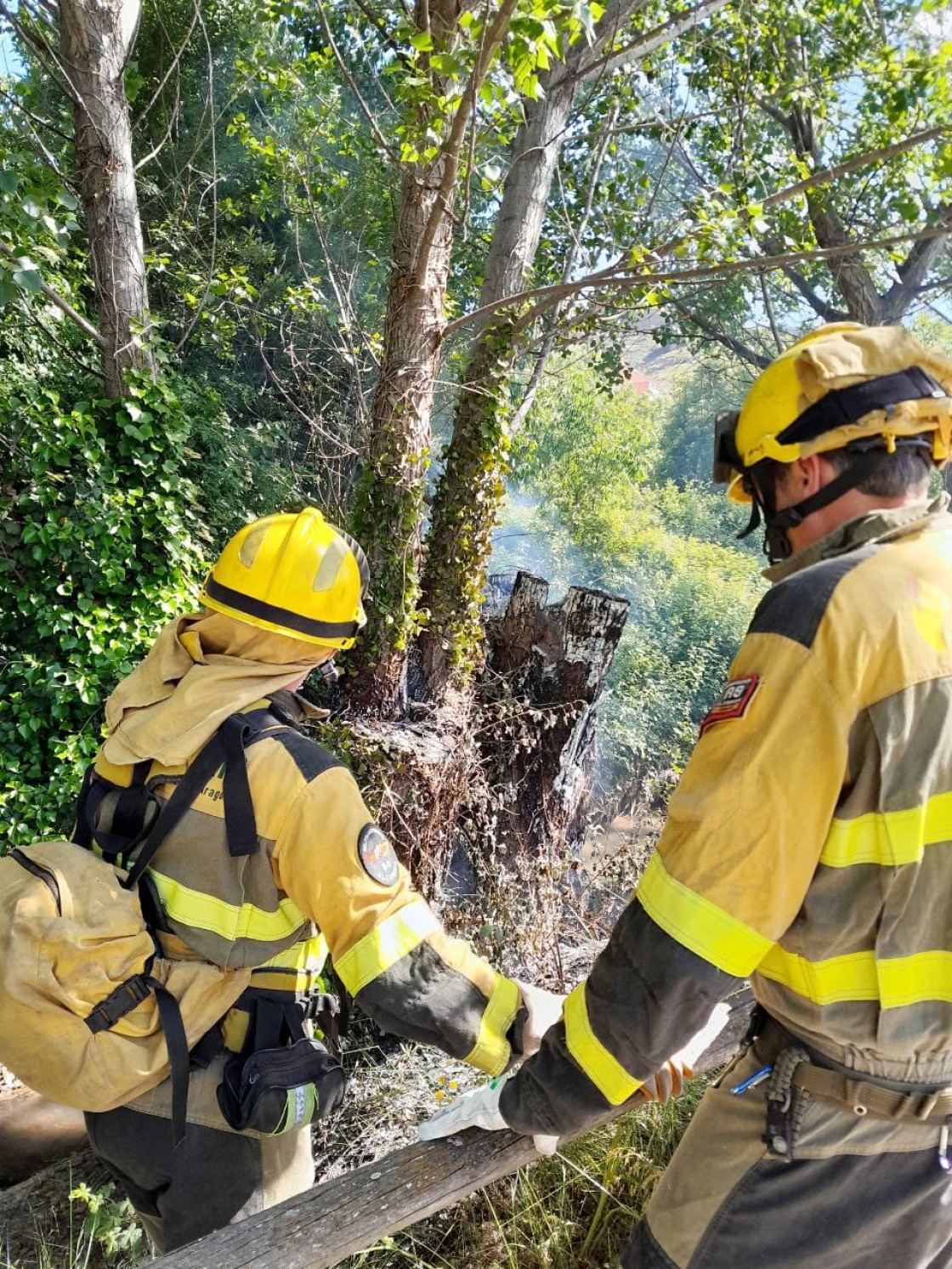 Un incendio prende 1.200 m2 de ribera junto al parque del Lago de Alcorisa