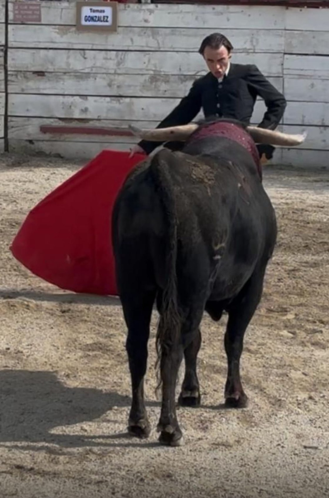 Tomás González: Disposición ante la poca materia prima en el festival del Club Taurino Lou Fourmigo