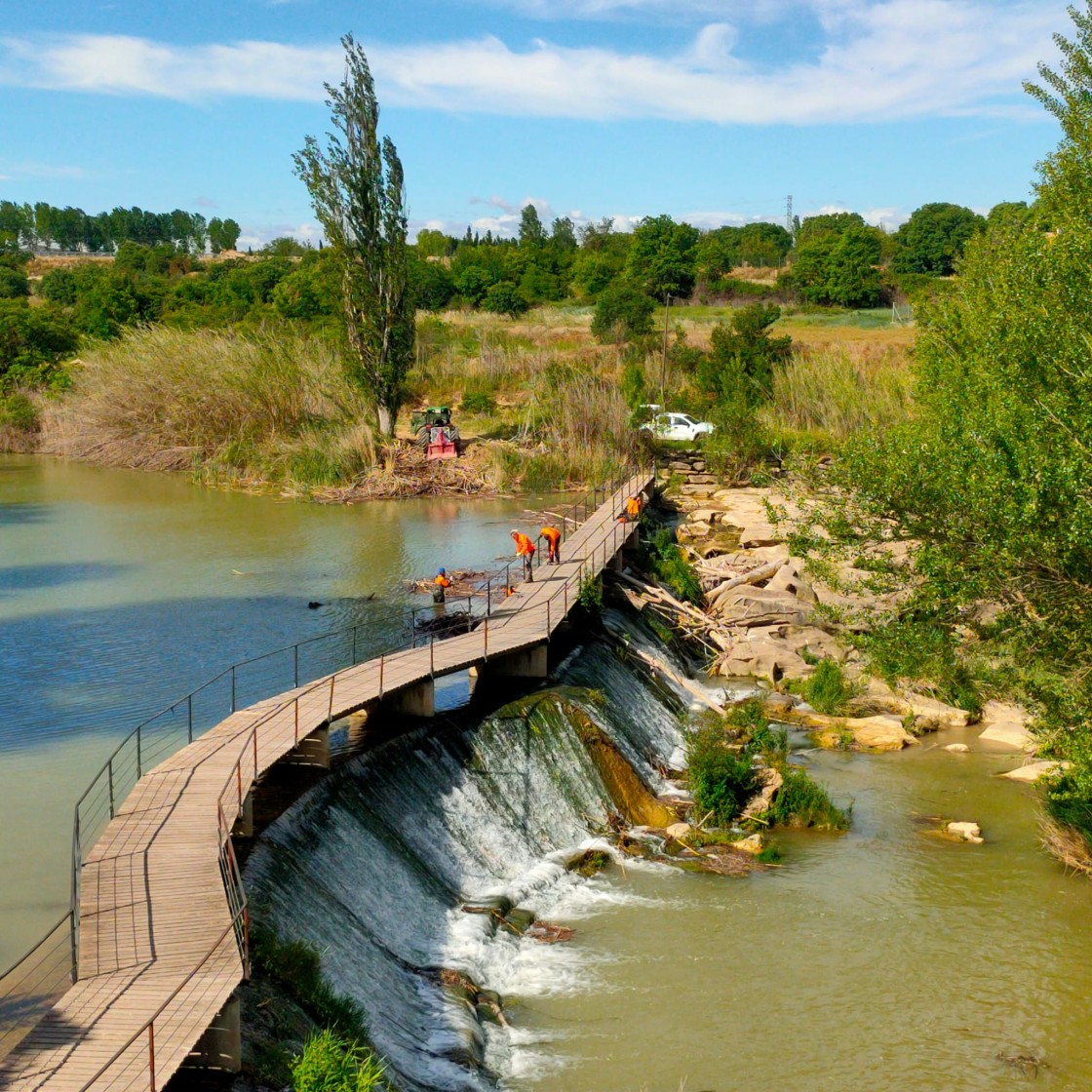 Alcañiz refuerza el desbroce en la ribera del Guadalope por vegetación