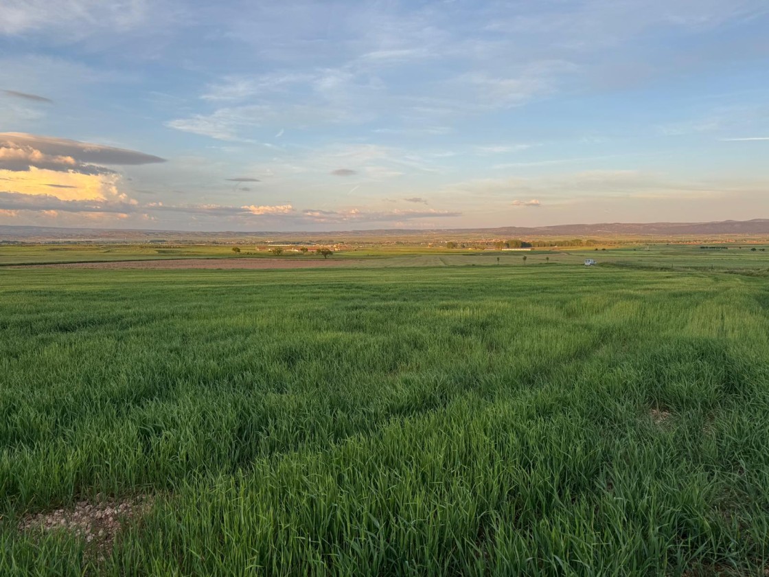 Las organizaciones agrarias se manifiestan el viernes para urgir medidas contra la fauna silvestre