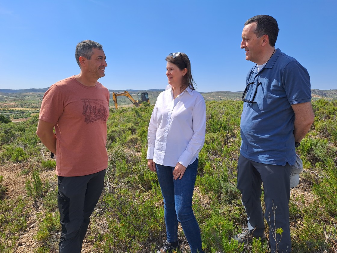 Gestión Forestal tiene en ejecución el 60% de las 2.000 hectáreas del Plan de Reforestación