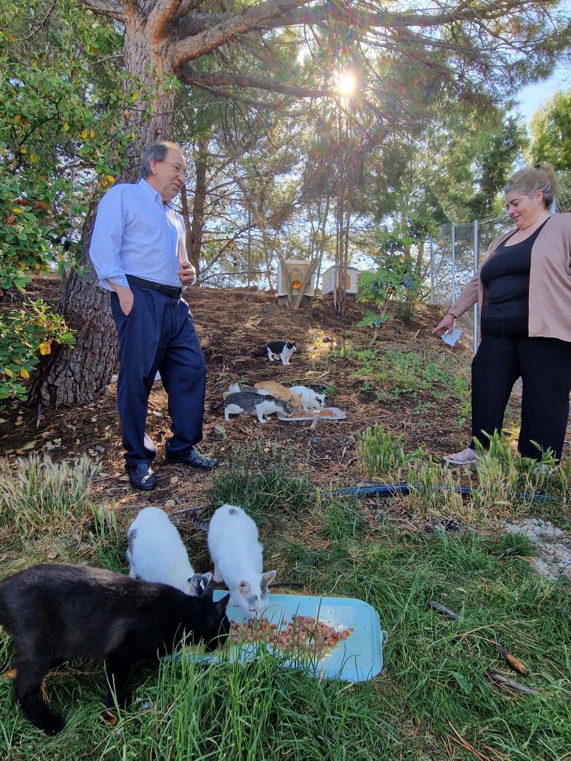 El Ayuntamiento acondiciona en Los Planos el primer espacio en Teruel destinado a una colonia de gatos