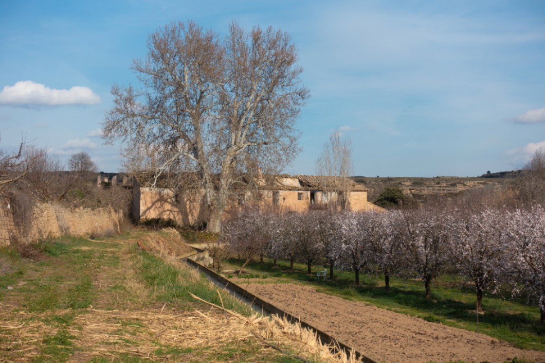 Hispania Nostra mete en su Lista Roja el Molino de la Carrasca y el Palomar de Ruiz de Castelserás