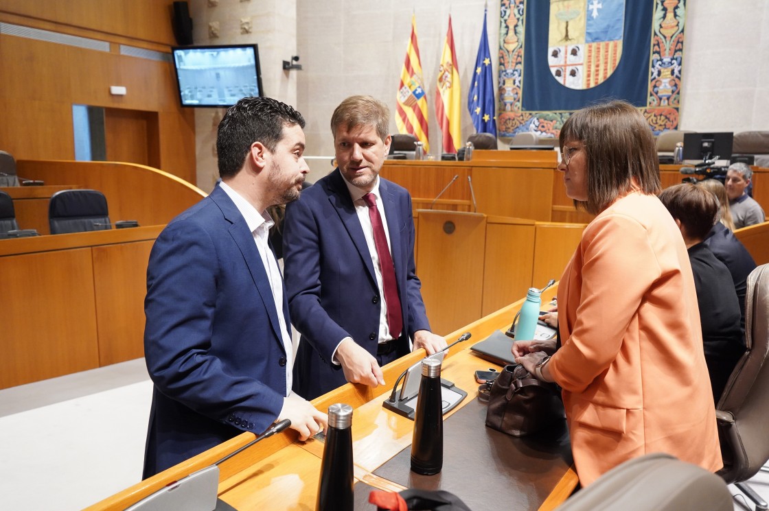 El Parlamento aragonés aprueba una PNL del PSOE para mitigar los daños causados por el pedrisco