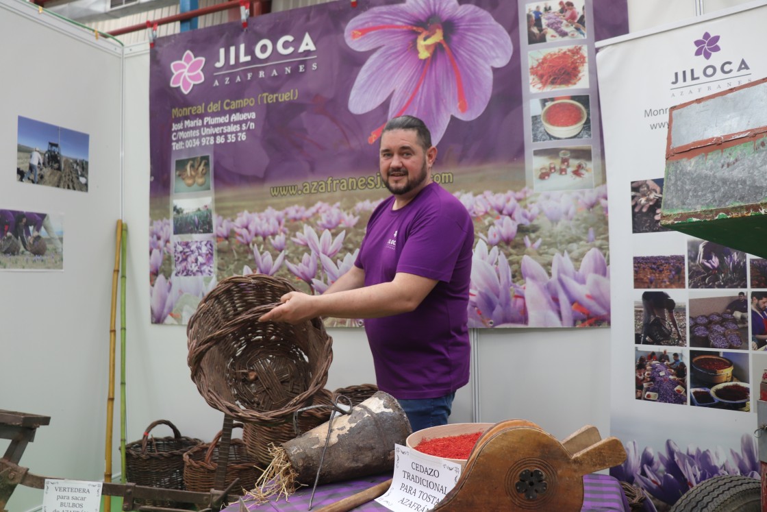 Los aperos tradicionales de este cultivo de invierno, en exposición