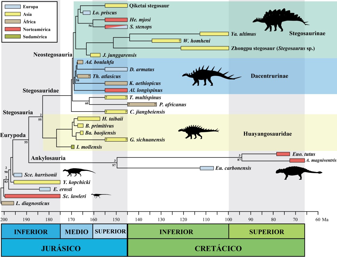 Un cladograma con las ramas evolutivas ligado a un cronograma del tiempo