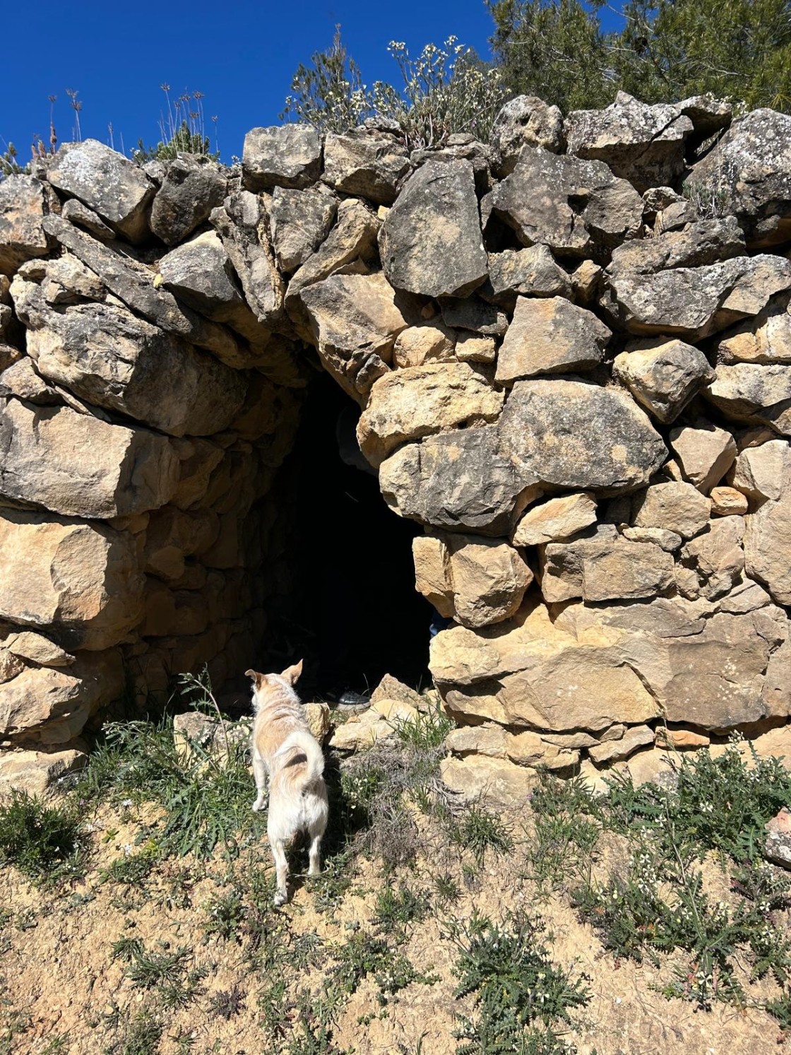 El Matarraña organiza un nuevo taller de ‘pedra en sec’ en junio