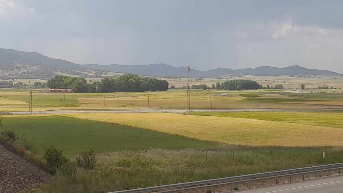 Agricultura refuerza la plantilla en Teruel para avanzar en las concentraciones parcelarias, que acumulan años de retraso