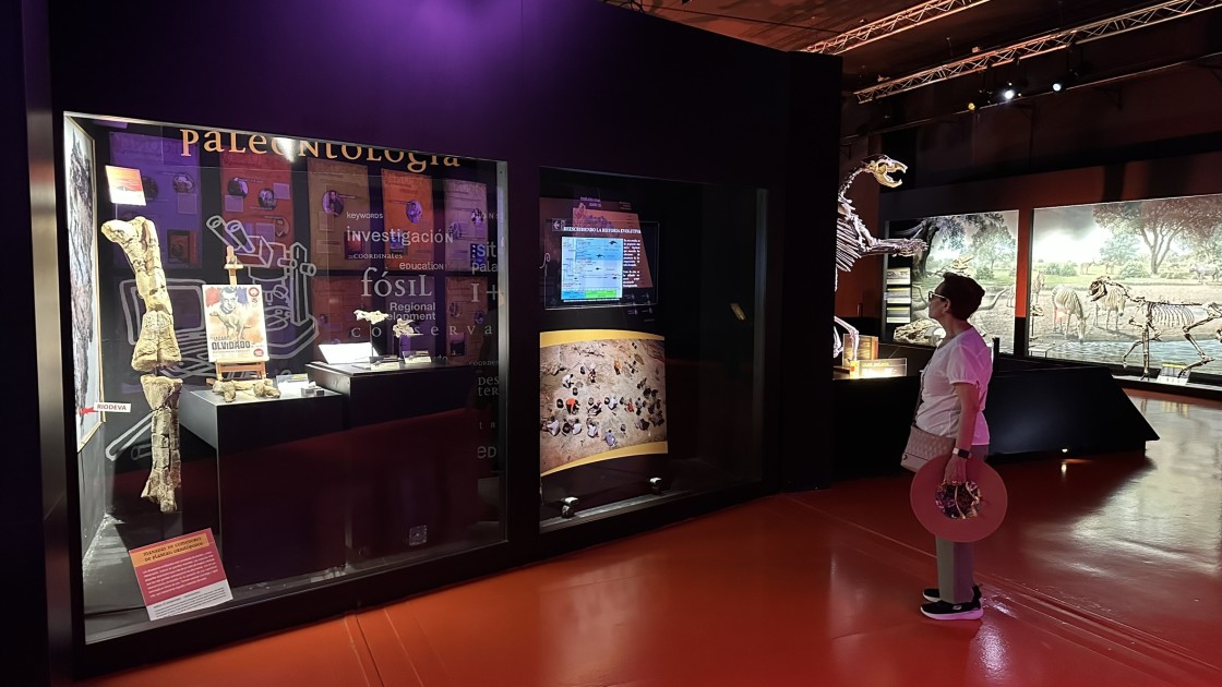 El cráneo de estegosaurio más completo de Europa ya puede verse en el Museo Aragonés de Paleontología en Dinópolis
