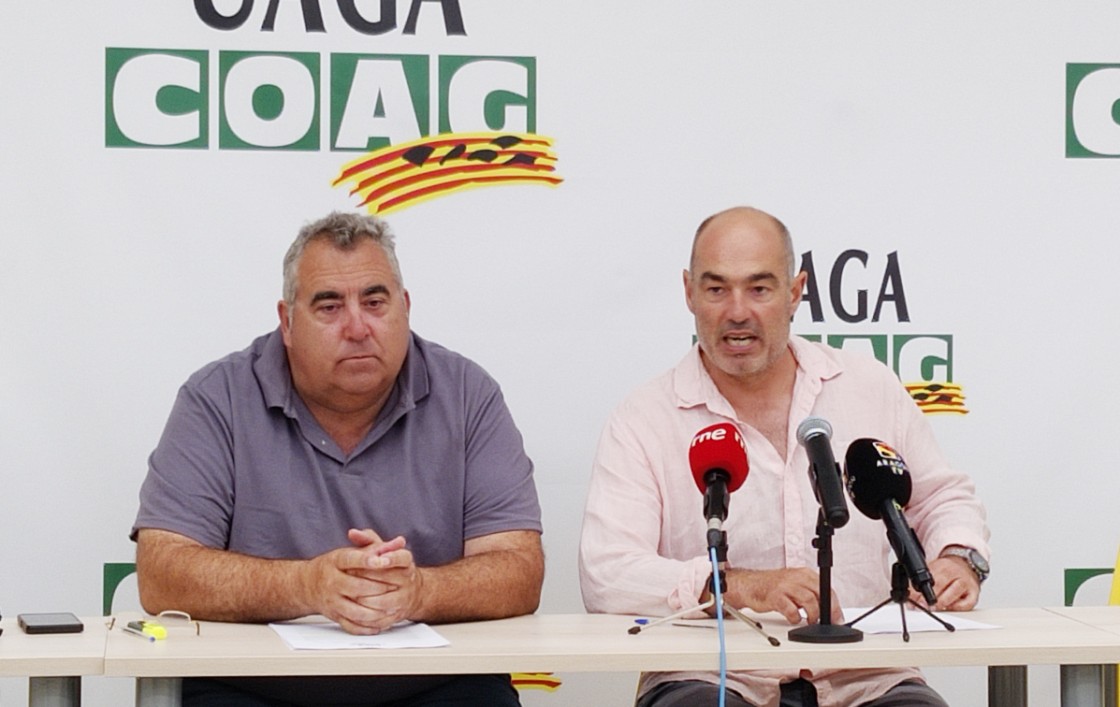 Las buenas previsiones de cosecha, ensombrecidas por la meteorología