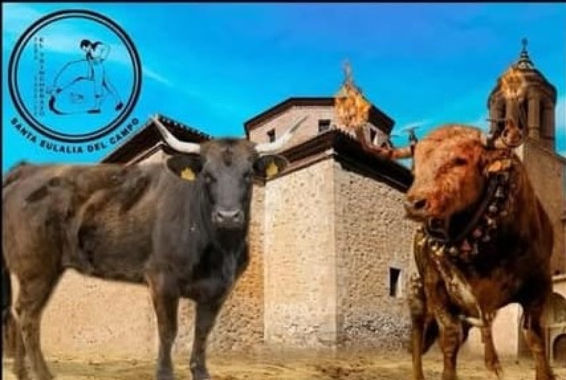 La Asociación El Trincherazo  de Santa Eulalia del Campo organiza tres festejos
