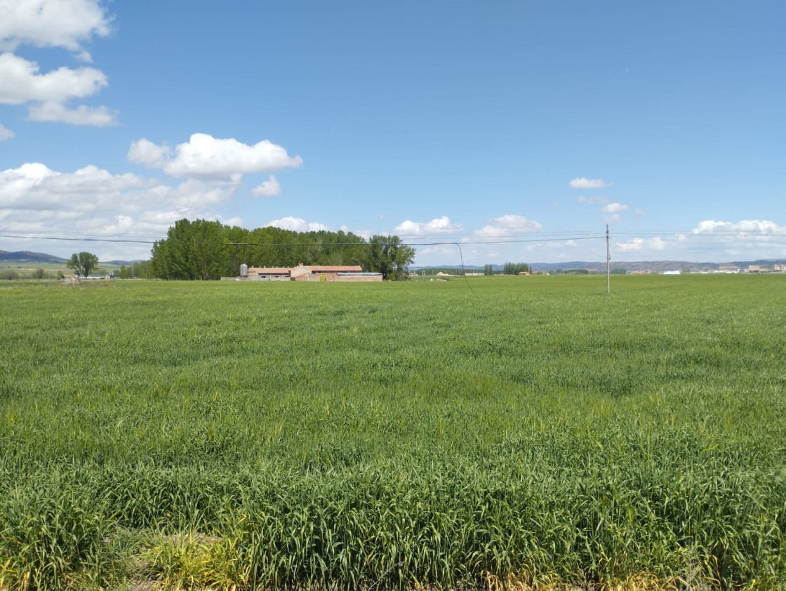 El servicio provincial de Agricultura se refuerza con la llegada de tres personas