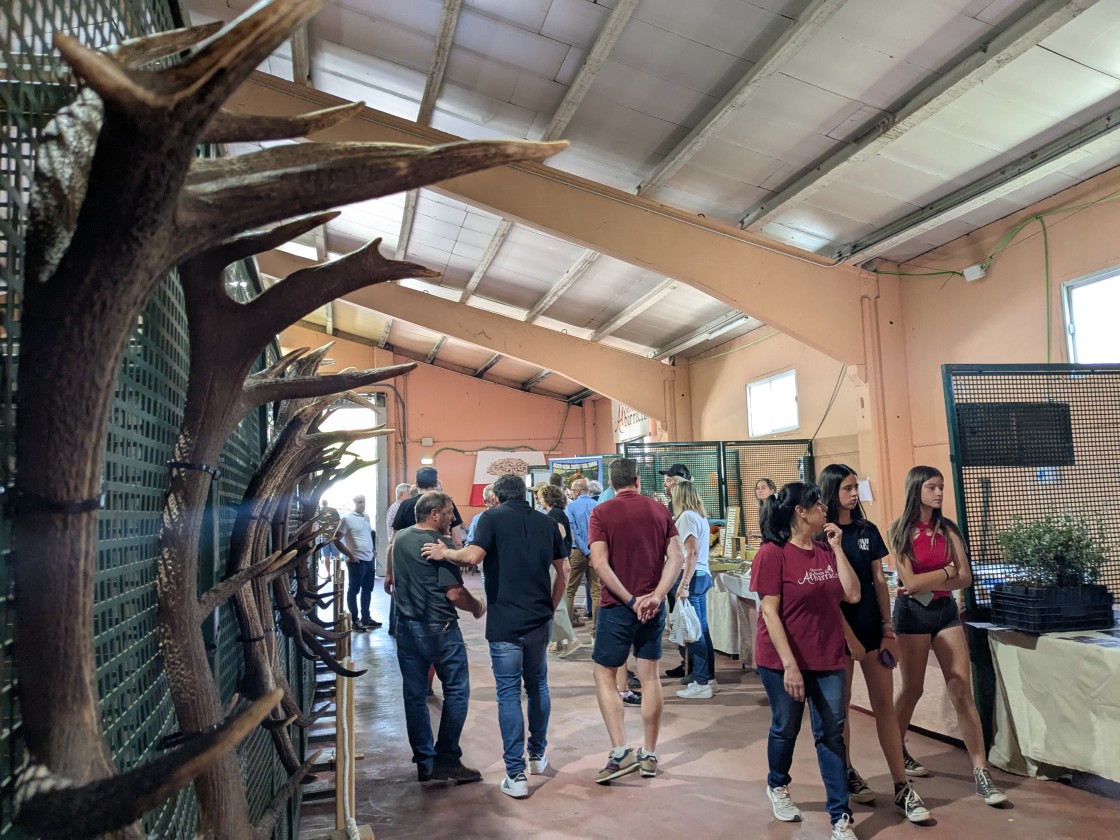 La subasta de la Feria de Calomarde para cazar en la reserva adjudica los 77 permisos por 70.000 euros