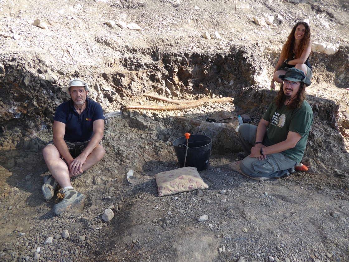 Halladas las defensas de casi 2 metros de largo de un mastodonte de hace 6,3 millones de años