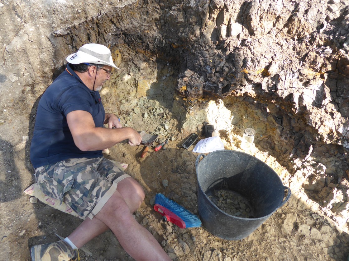 Los grandes tigres compitieron en un Teruel casi tropical hace seis millones de años