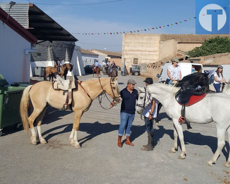 Santa Eulalia se rinde a la belleza de medio centenar de caballos de silla