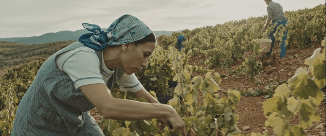 El Maravillas estrena dos películas rodadas en parte en la provincia