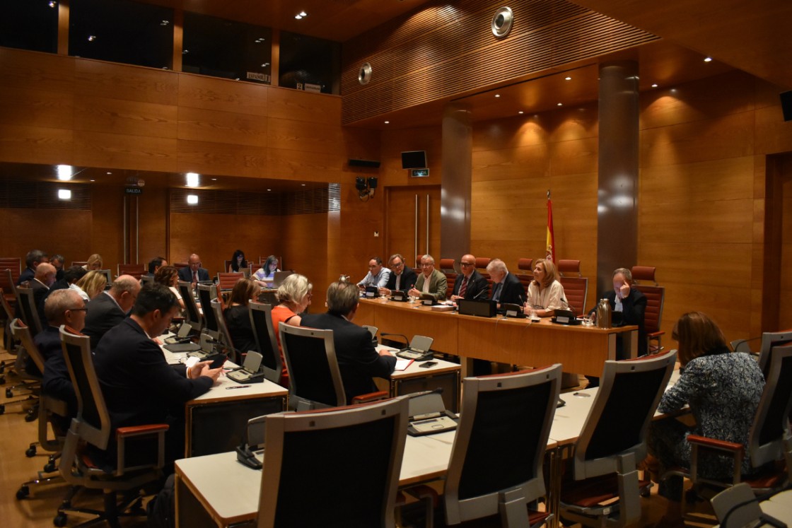 Boya dice que las ayudas del 20% hay que concentrarlas en los pueblos más pequeños