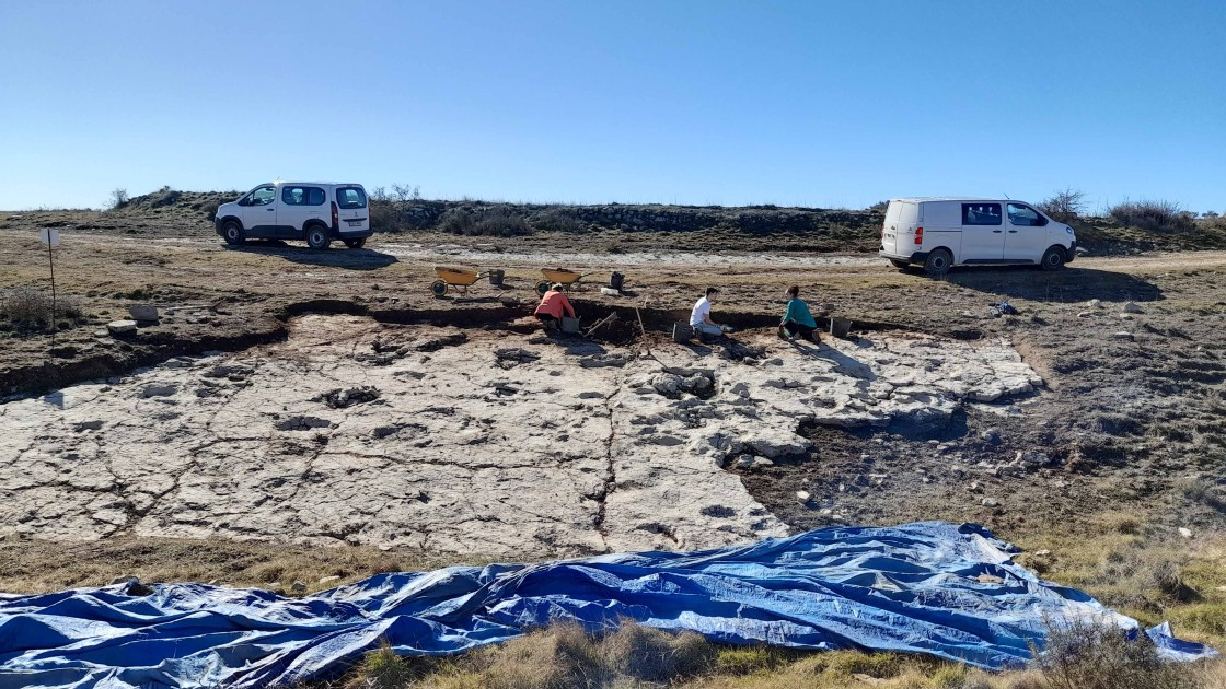 La Fundación Dinópolis descubre más de 250 huellas de saurópodos, ornitópodos y terópodos.en Ababuj