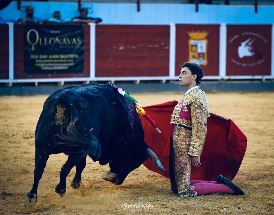 Faena de triunfo de Tomás González en Navas de San Juan