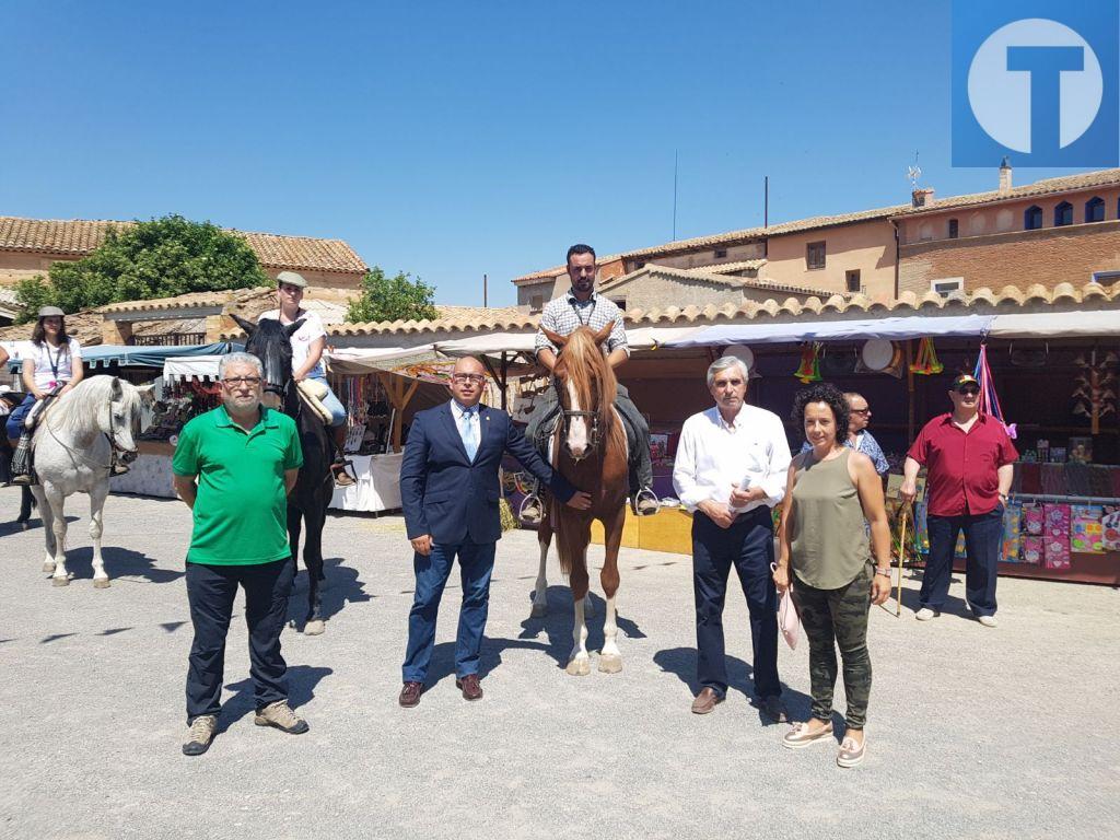 Silva: “La Administración aplica la misma normativa al caballo de silla que al de carne”