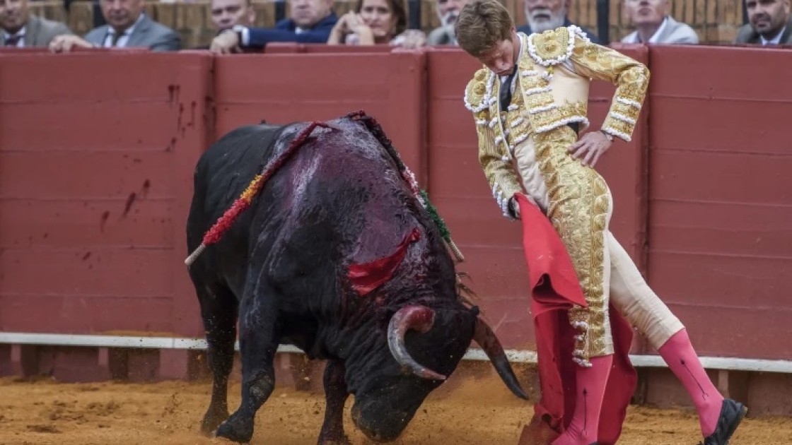 Borja Jiménez, matador de toros: “Espero dar una gran tarde de toros en Teruel, para el recuerdo”