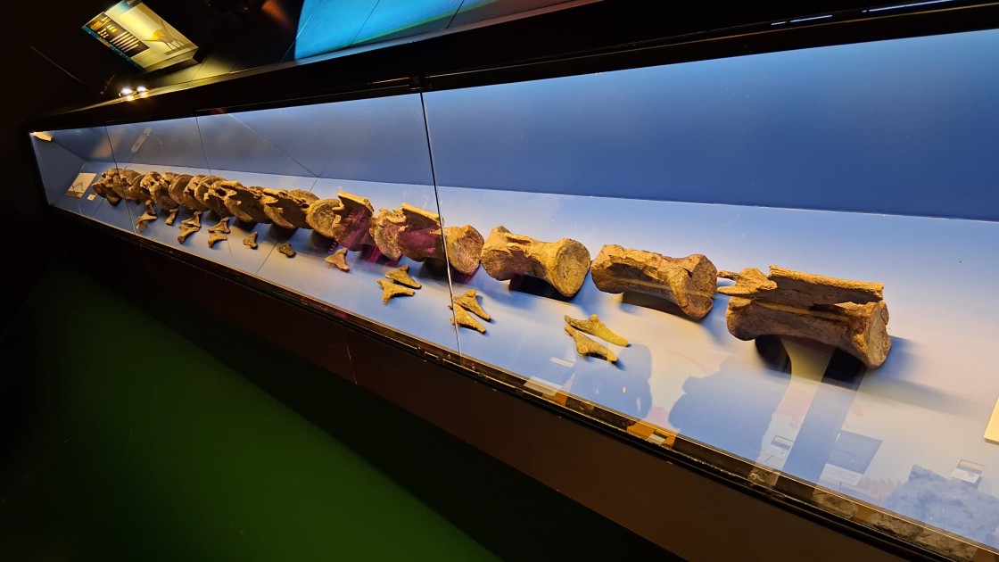 Los dinosaurios con colas como látigos que impactan en el cine se movieron por la provincia de Teruel