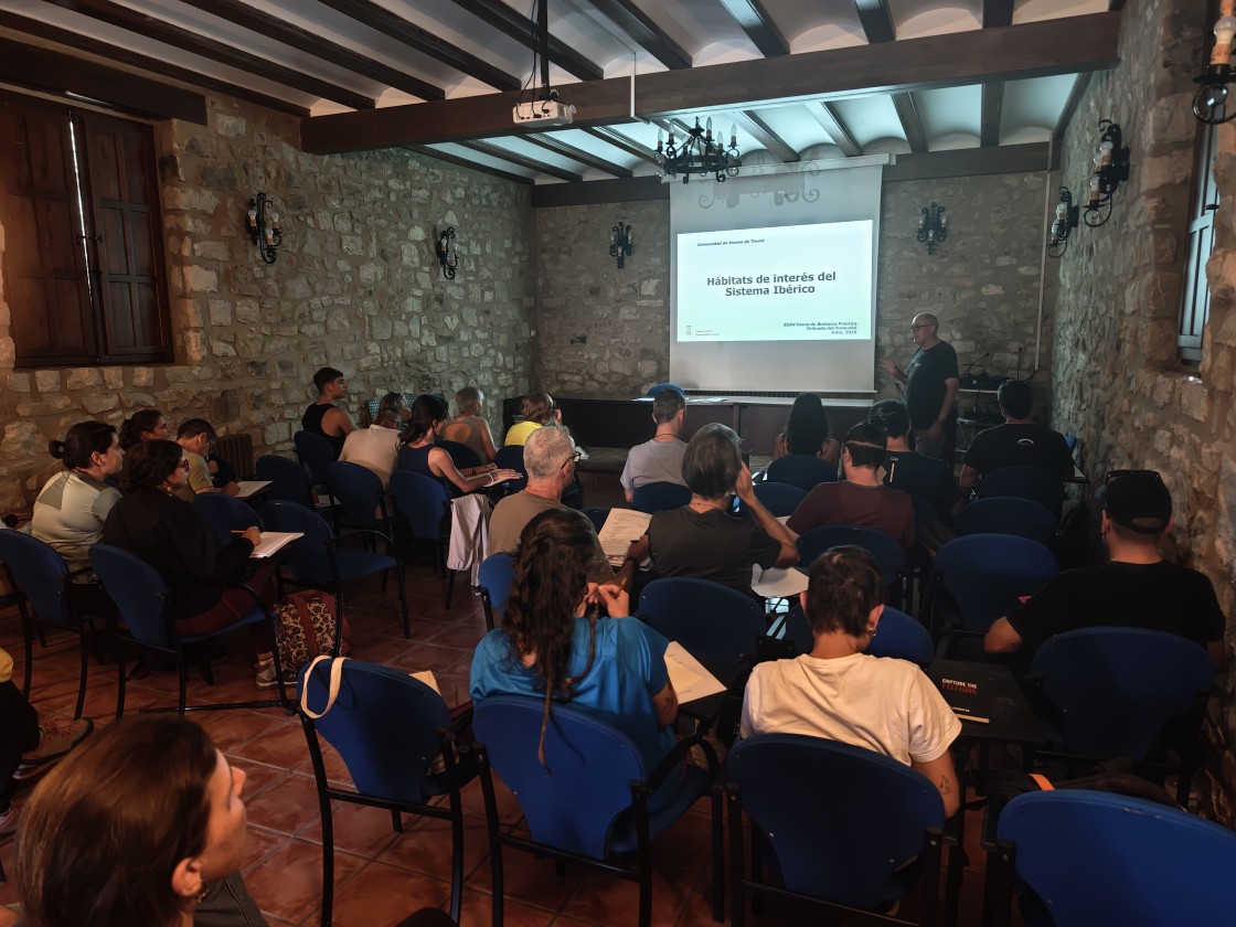 Un curso de la UVT enseña la botánica para saber cómo conservar patrimonio
