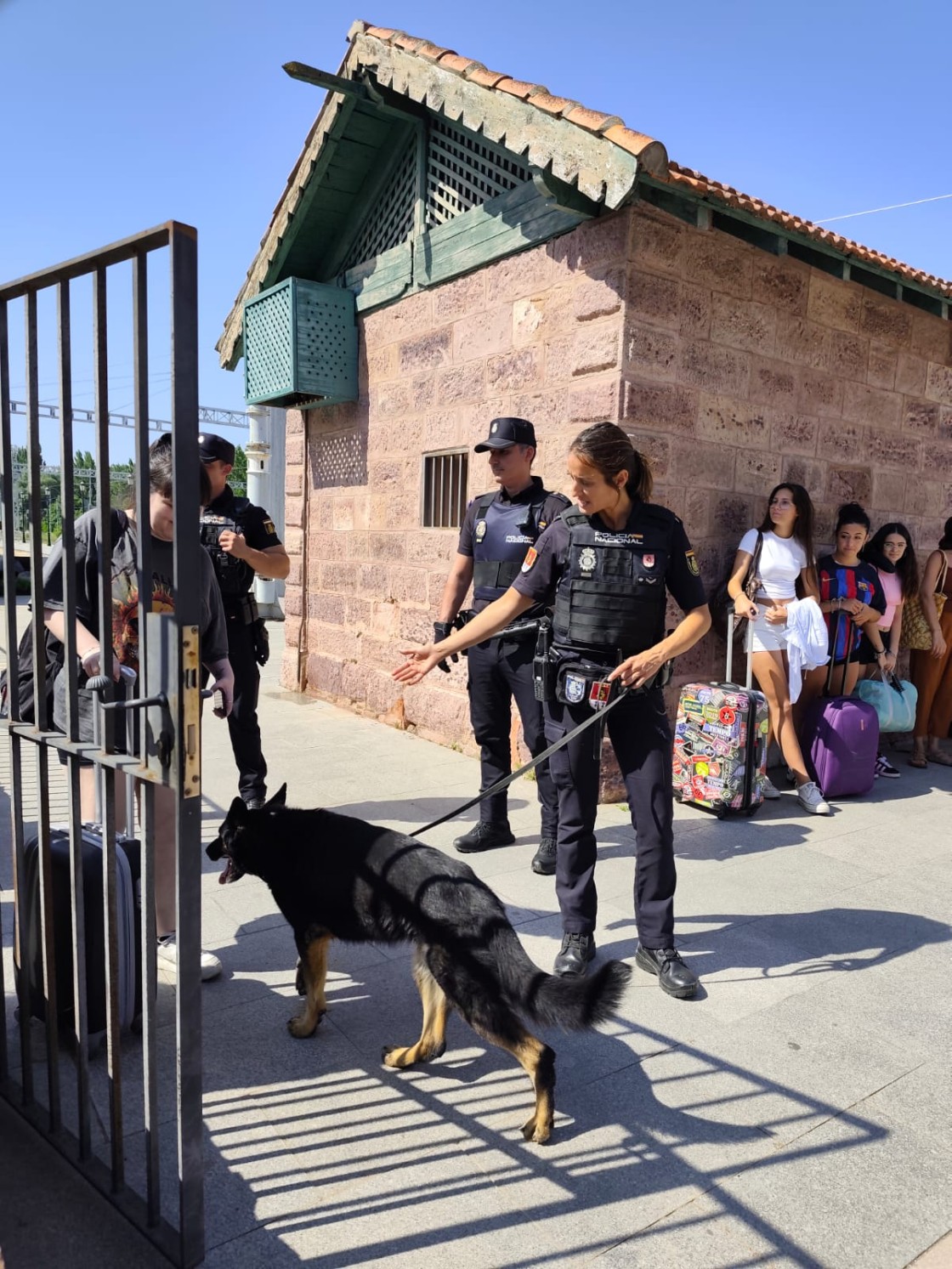 Trece personas detenidas por la Policía Nacional durante la Vaquilla