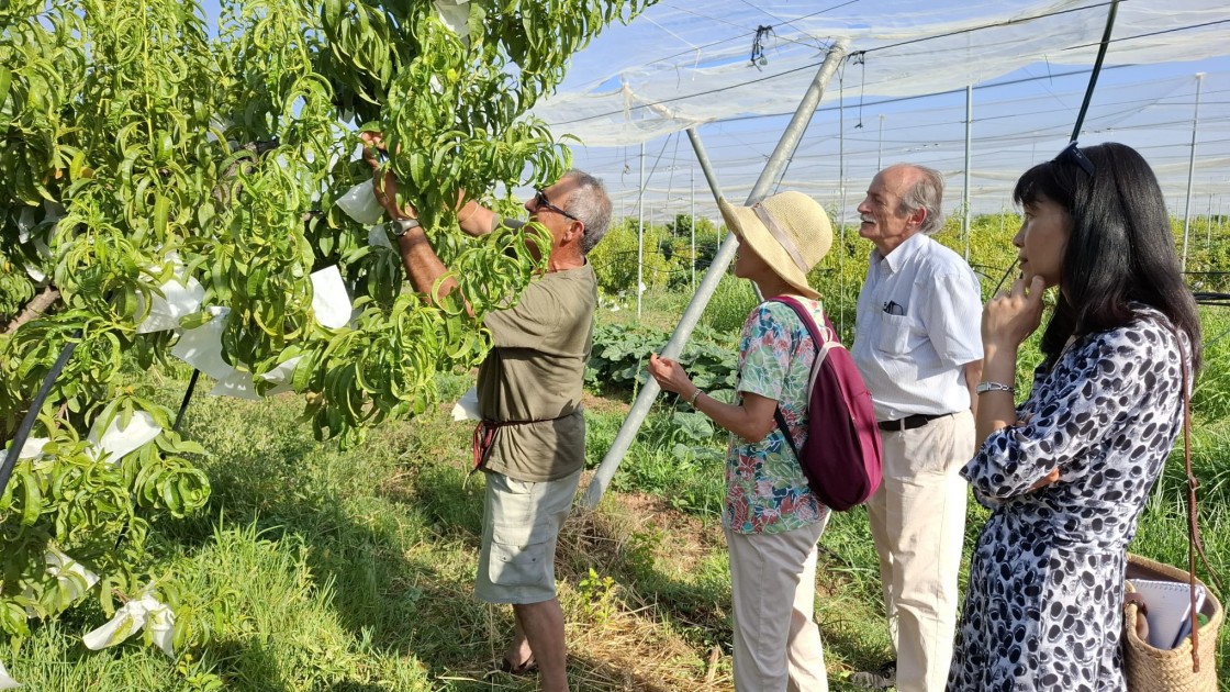 Una delegación de la Cámara de Comercio Hispano Japonesa visita la provincia de Teruel