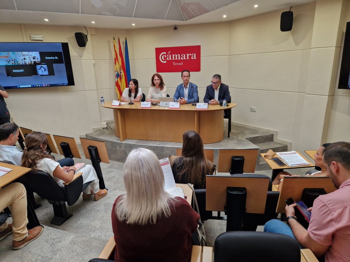 El pequeño comercio de la provincia de Teruel recibirá 500.000 euros del Fite