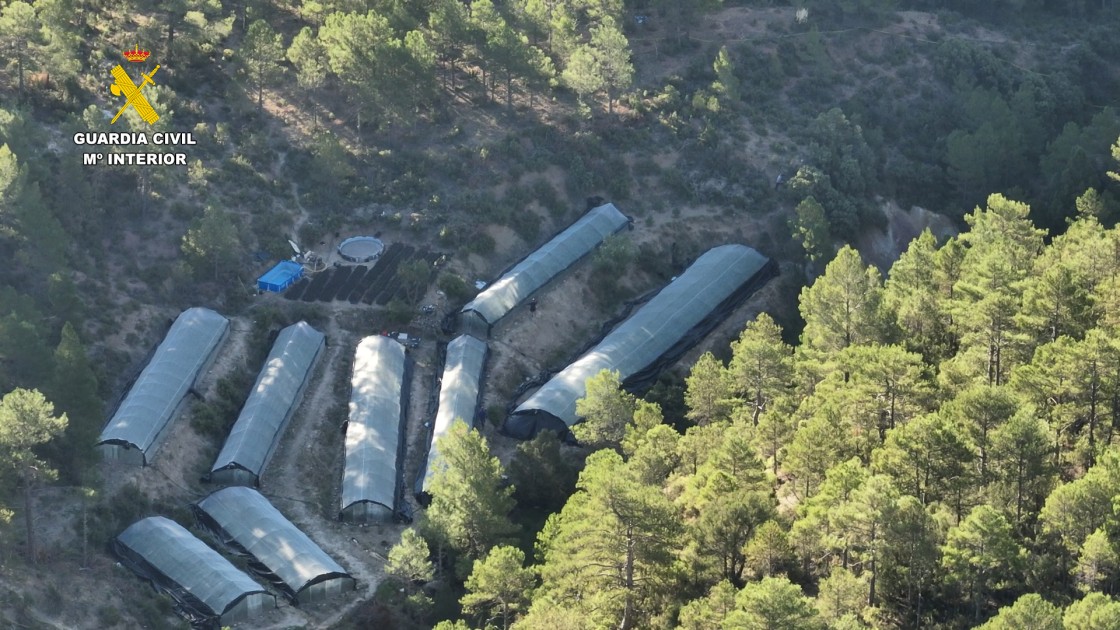 Arcos pide ayuda a la DGA y a la DPT para desmontar los invernaderos para drogas