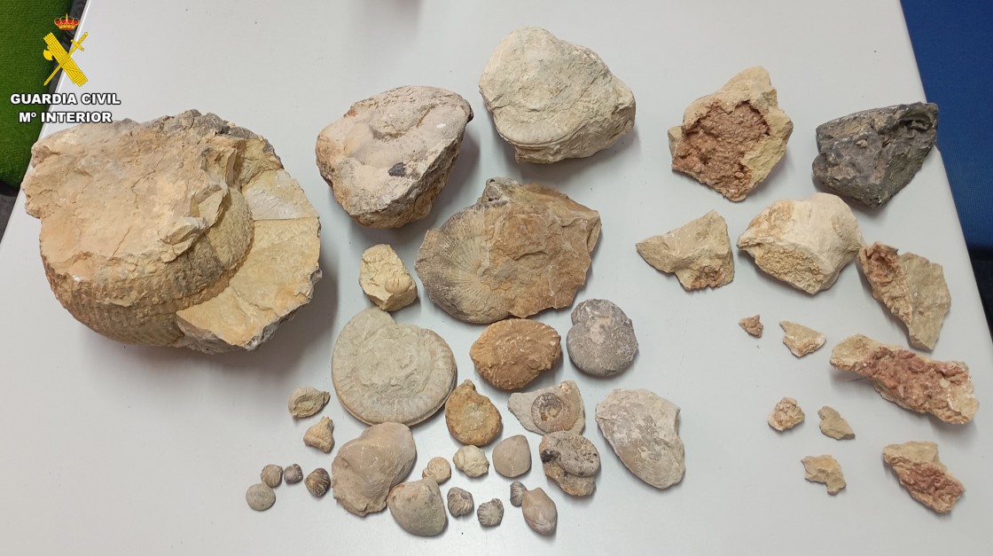 La Guardia Civil de Teruel interviene en un caso de expolio de 40 fósiles y minerales en Villar del Cobo