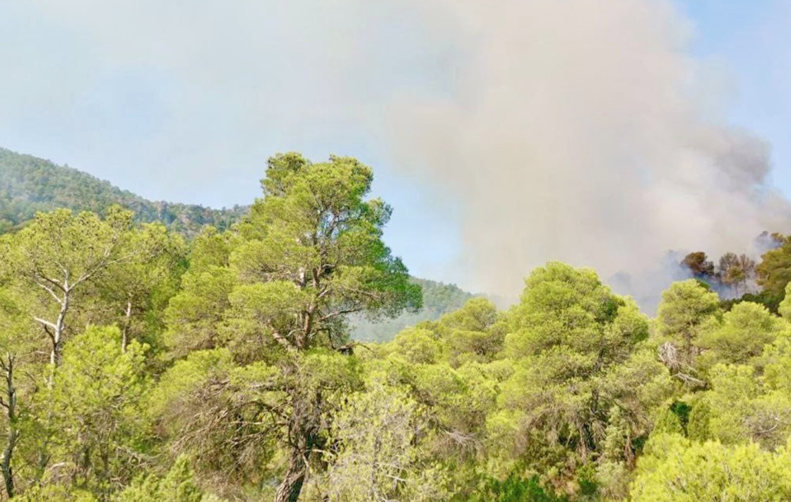 Evacúan La Pesquera de Beceite por un incendio rápidamente controlado con un amplio despliegue de medios