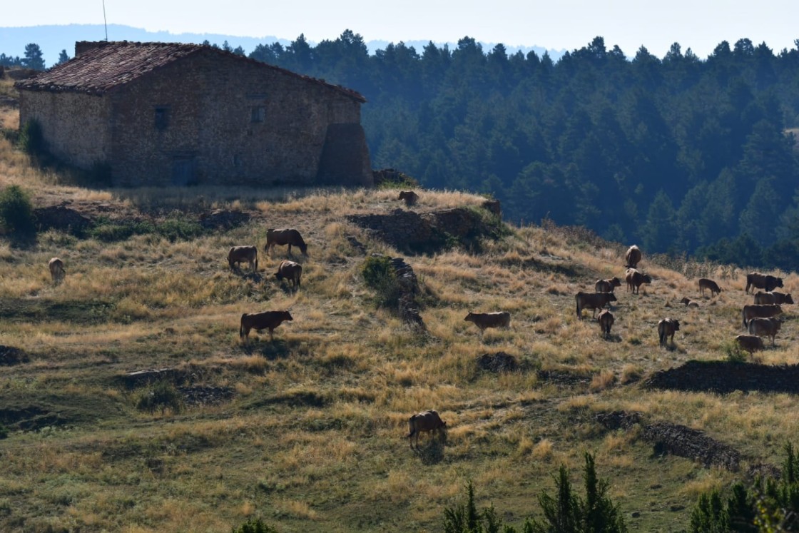 Chunta se posiciona en contra del macroalmacén de CO₂ proyectado en el Maestrazgo