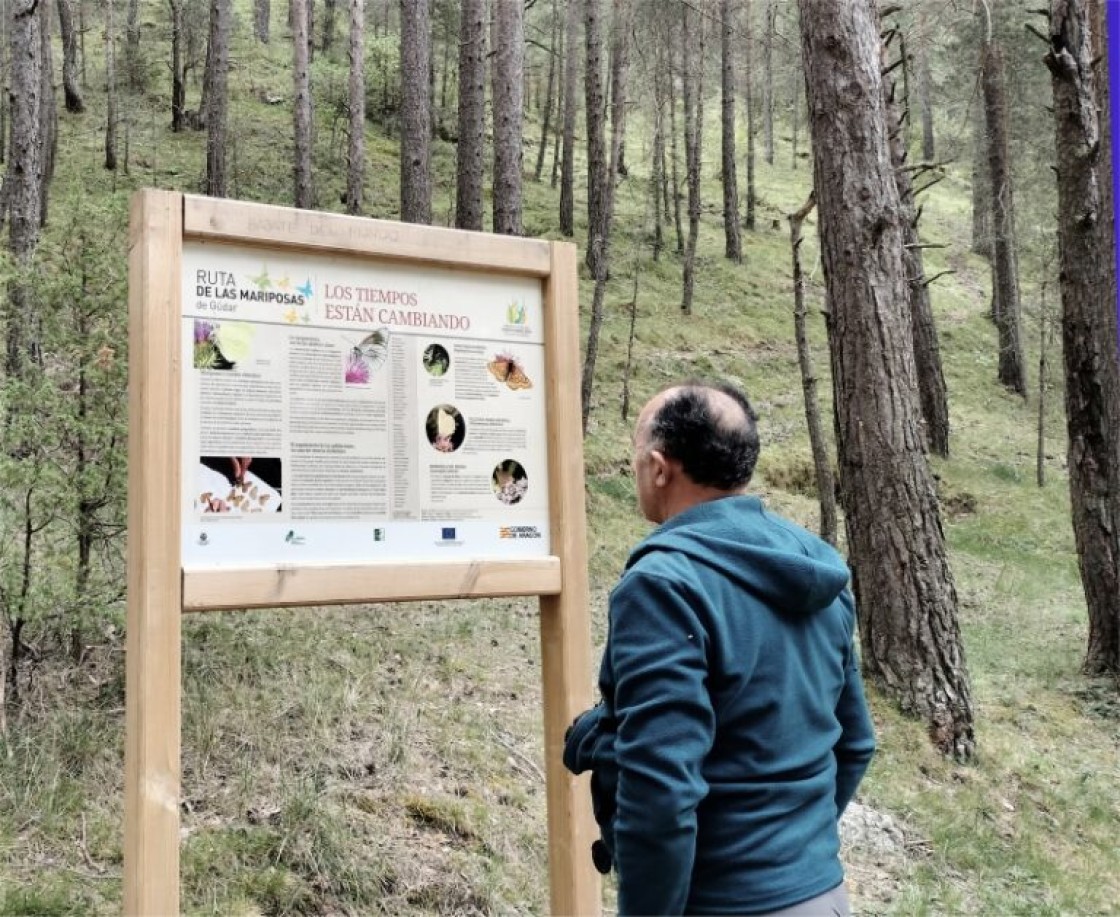 La Ruta de las Mariposas, en Gúdar, apuesta por un modelo distinto de turismo de naturaleza