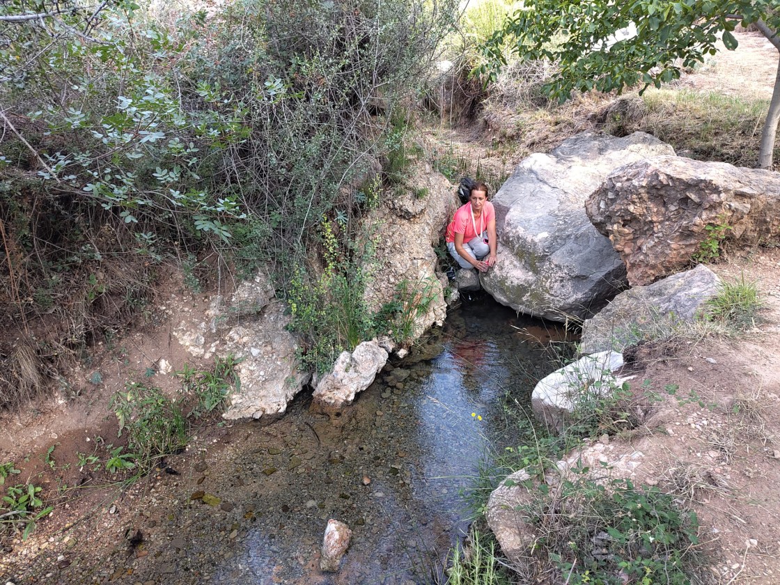 El CITA cuantifica las descargas subterráneas de una red de acuíferos