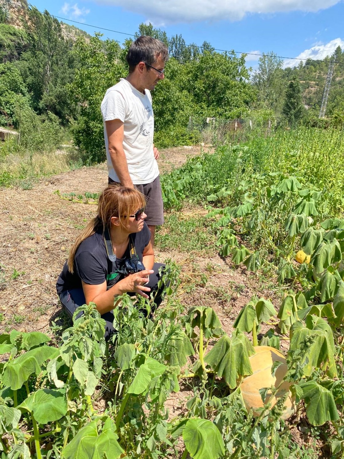 El CITA organiza una cata de tomates el 3 de septiembre en Santa Eulalia del Campo