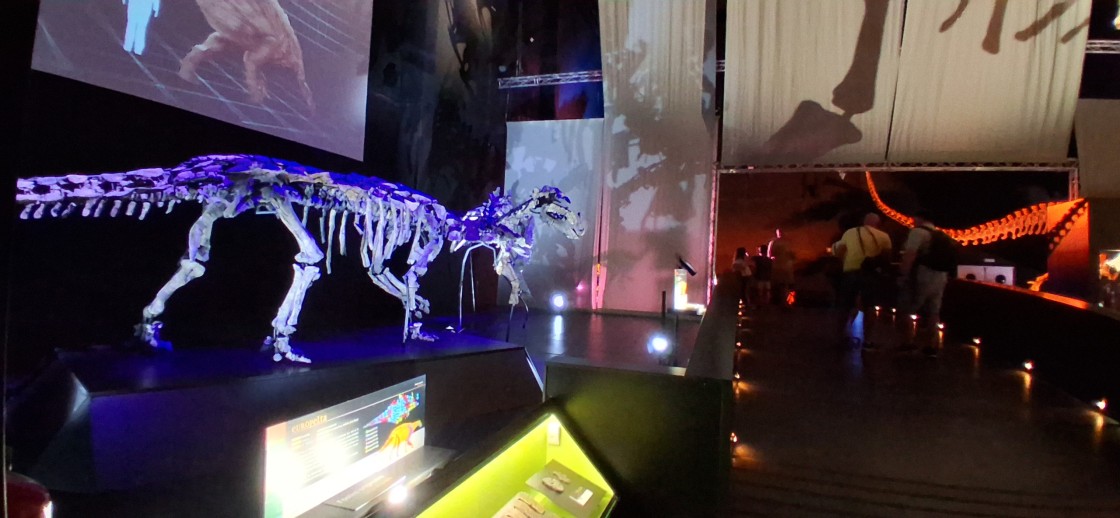 ‘Los 5 magníficos’ del Museo Paleontológico aragonés, el quinteto de oro  de la dinosauriología de este siglo