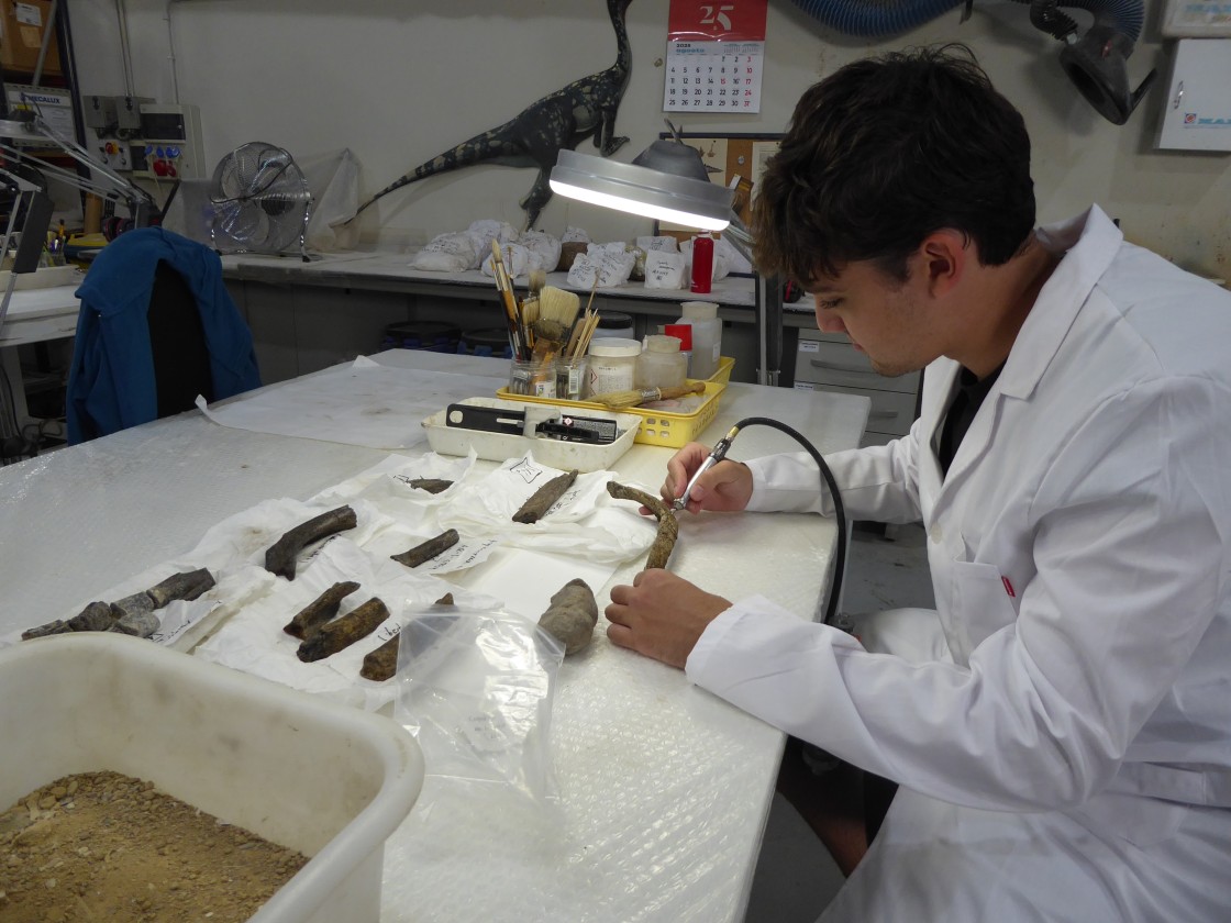 La labor formativa de la Fundación Dinópolis: “Si me sigue gustando la paleontología desde pequeño siendo de Teruel, por algo será”