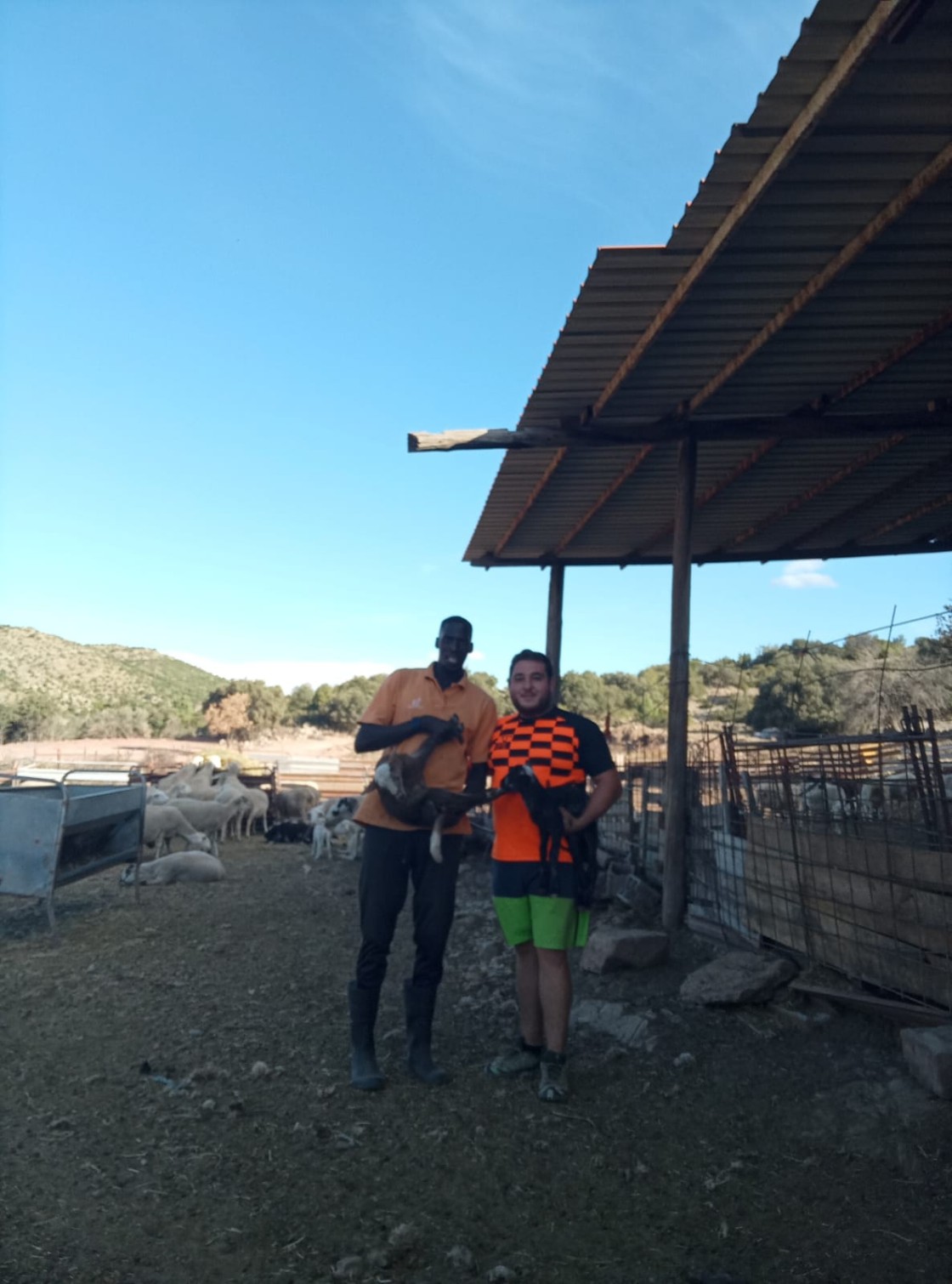 Abdulaye Biop, contratado como peón ganadero en una explotación de ovino: “Me quiero quedar en el pueblo, toda la gente nos ha recibido muy bien”
