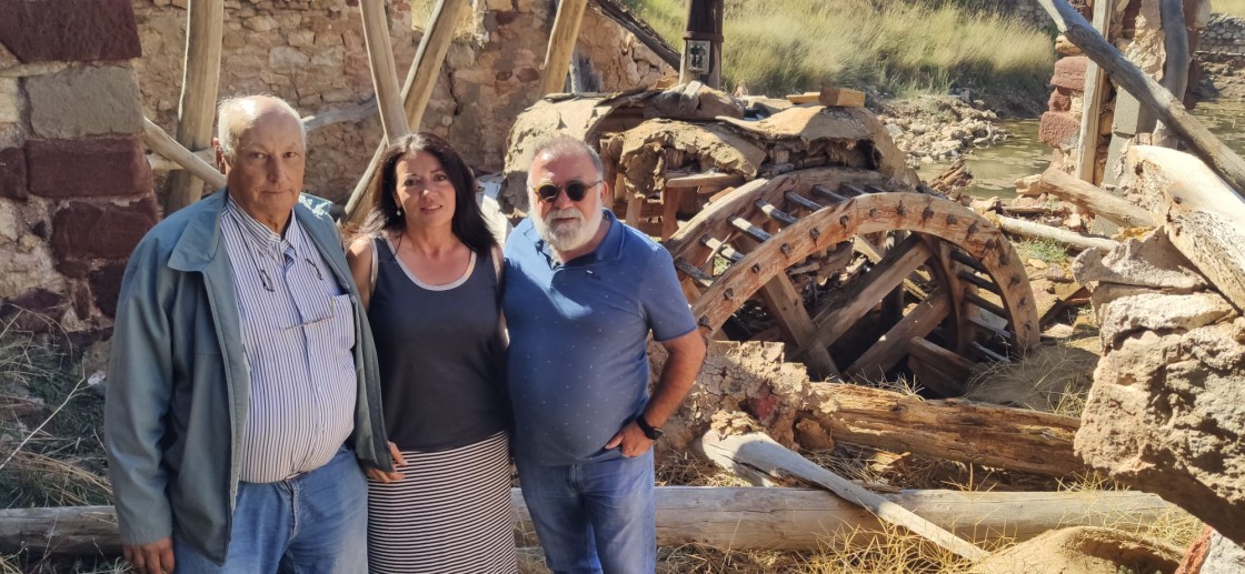 El PSOE pide catalogar como Bien de Interés Cultural y proteger la noria de madera de las salinas de Armillas