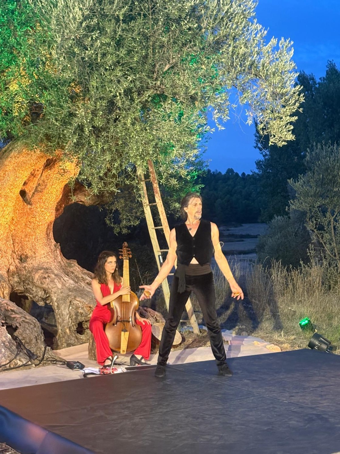 Miguel Ángel Berna y Pilar Almalé llevan ‘Entre Oliveras’ a Las Parras