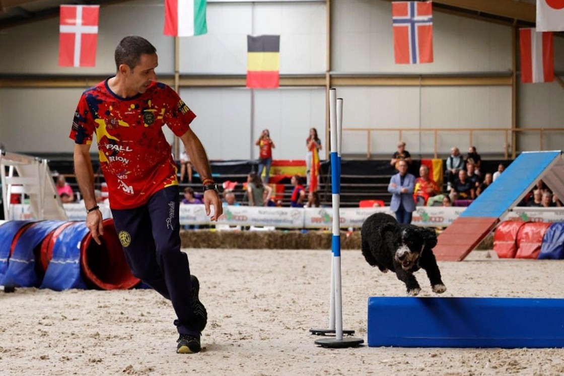 Canes turolenses representarán a España en el ICMA de Italia