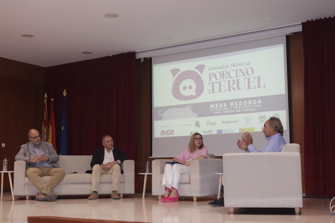Las empresas tractoras del Jamón de Teruel requieren un plan estratégico para el porcino