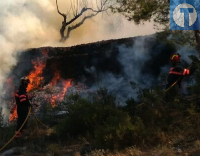 La Diputación de Teruel colabora en la extinción del incendio de la Sierra Calderona con tres vehículos y cinco bomberos