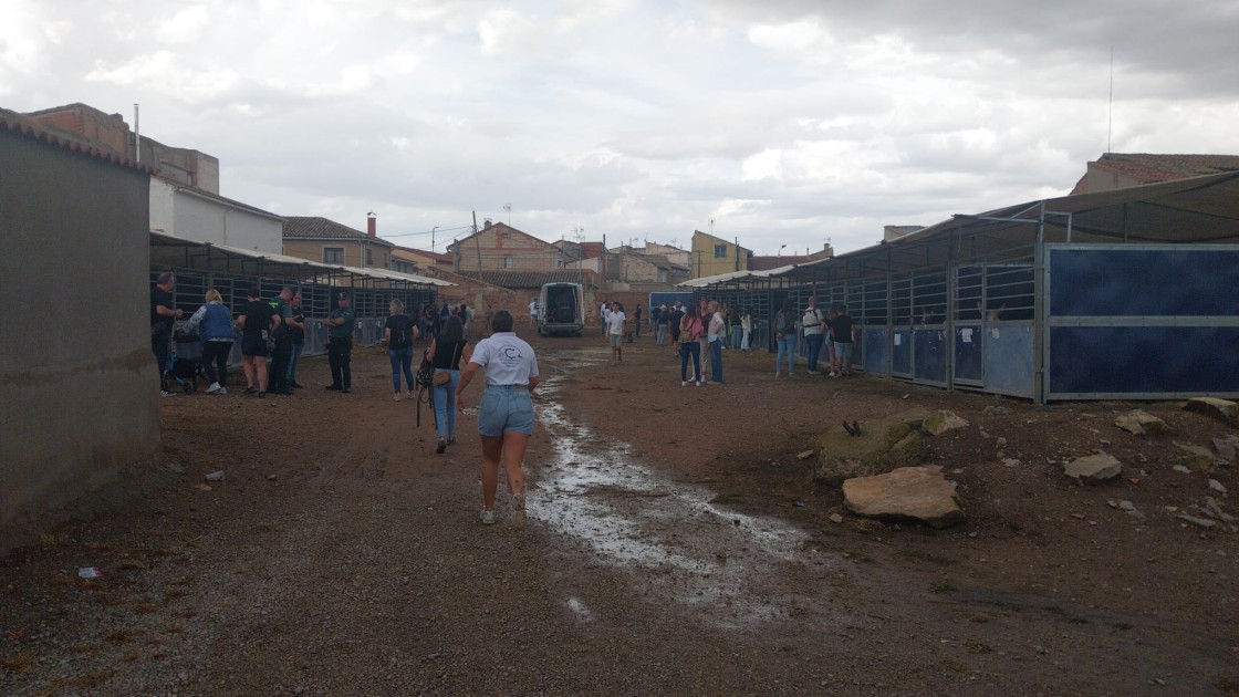 Una fuerte tormenta obliga  a suspender la exhibición ecuestre en Santa Eulalia