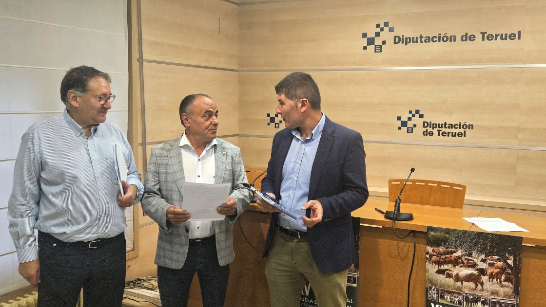 La feria de Orihuela del Tremedal cumple 25 ediciones reforzando la programación lúdica y festiva pero limitada por la lengua azul