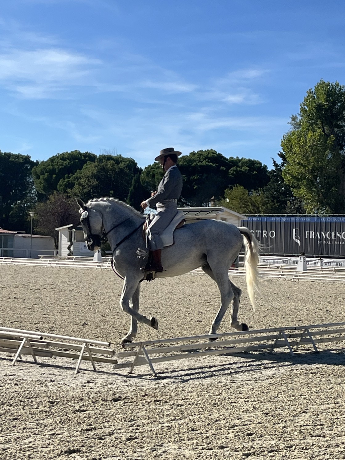 El turolense Pepe Ríos brilla en el campeonato Internacional de Equitación de Trabajo (WAVE)