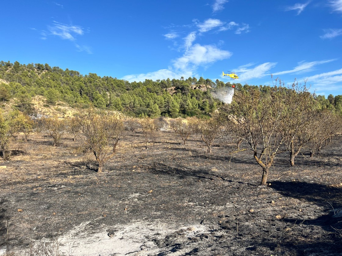 Controlado un incendio forestal en Mazaleón que afecta a una superficie de unas tres hectáreas